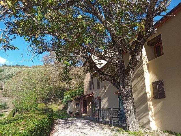 Agriturismo Il Giardino Понтассьєве Екстер'єр фото